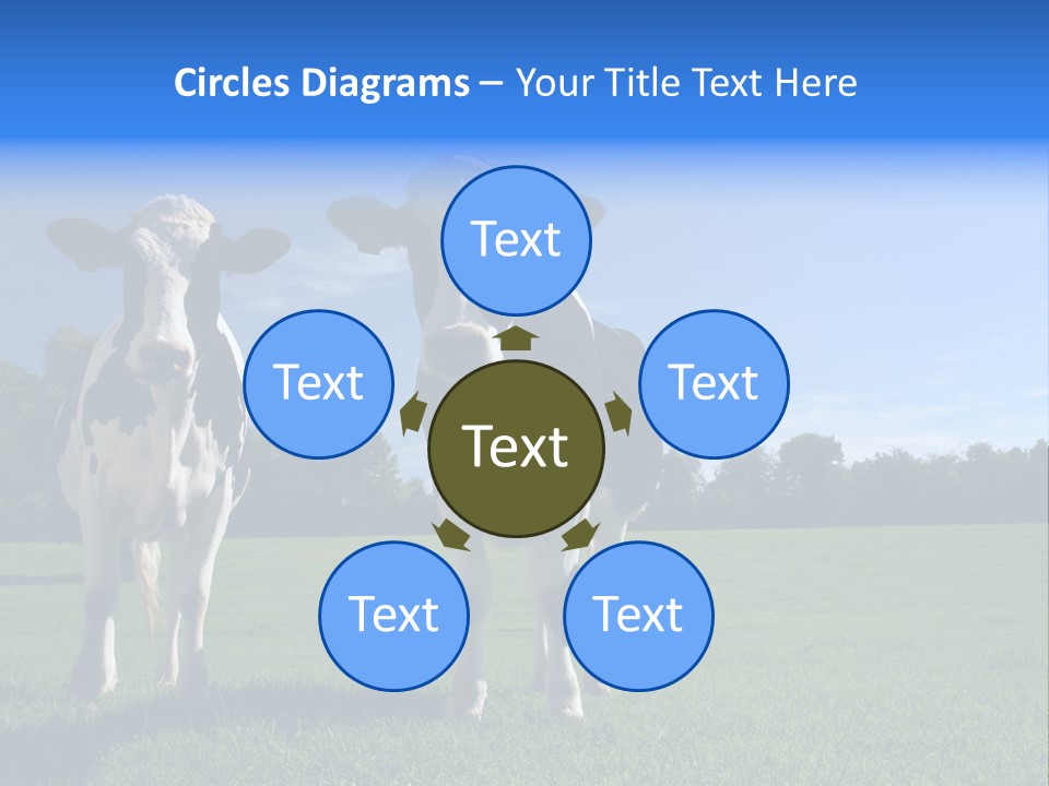 Agriculture Grazing Fresian PowerPoint Template