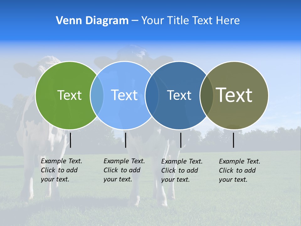 Agriculture Grazing Fresian PowerPoint Template