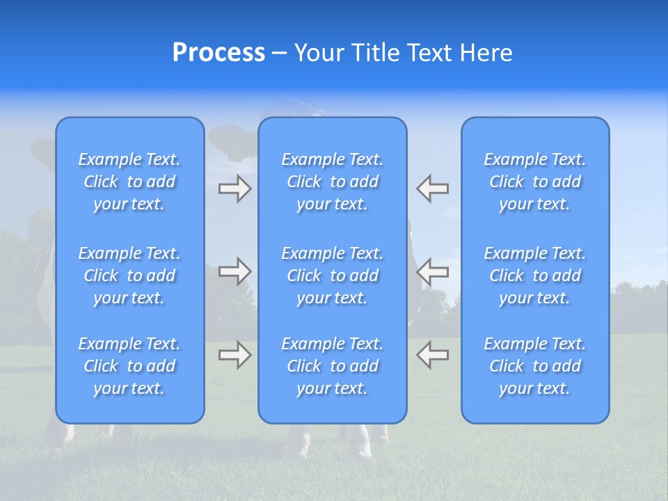 Agriculture Grazing Fresian PowerPoint Template