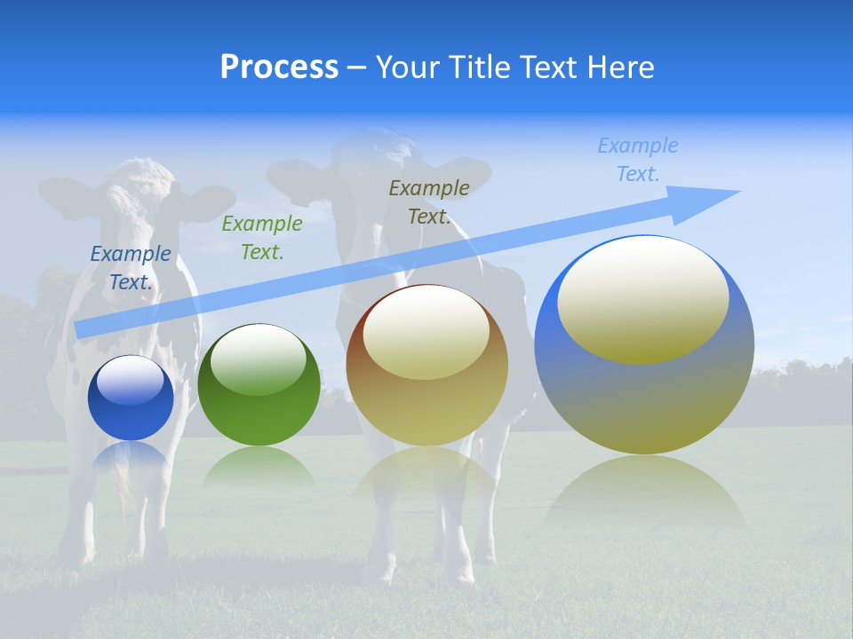 Agriculture Grazing Fresian PowerPoint Template