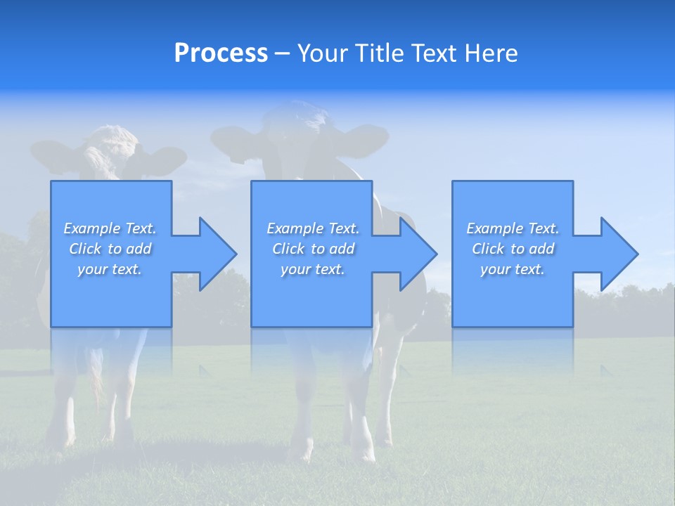 Agriculture Grazing Fresian PowerPoint Template
