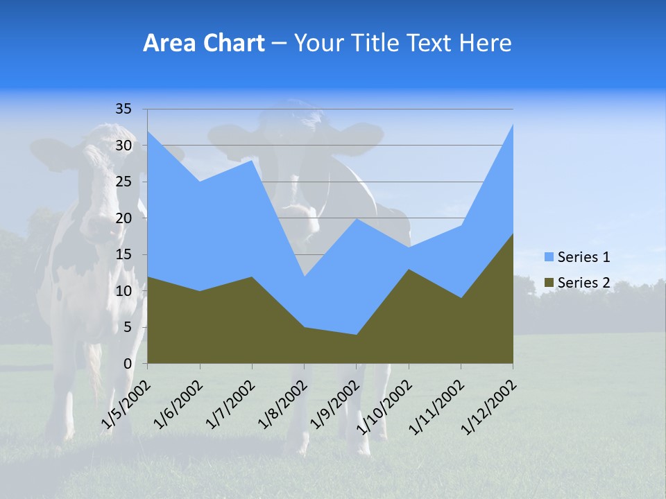Agriculture Grazing Fresian PowerPoint Template