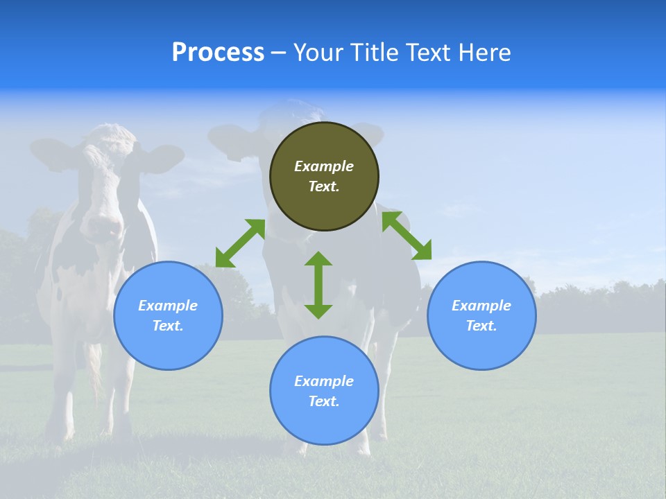 Agriculture Grazing Fresian PowerPoint Template