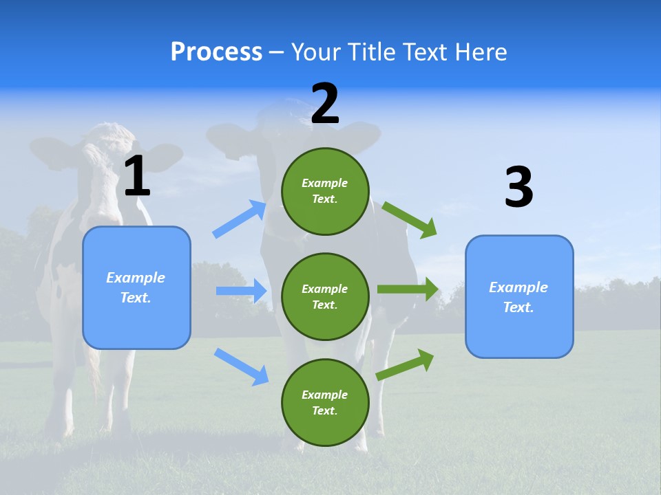Agriculture Grazing Fresian PowerPoint Template