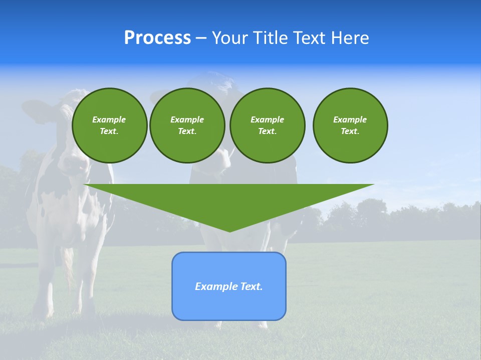 Agriculture Grazing Fresian PowerPoint Template