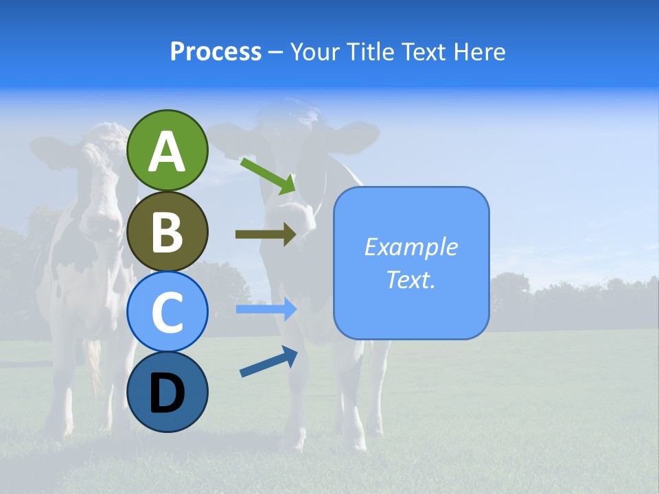 Agriculture Grazing Fresian PowerPoint Template