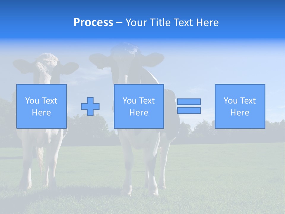 Agriculture Grazing Fresian PowerPoint Template