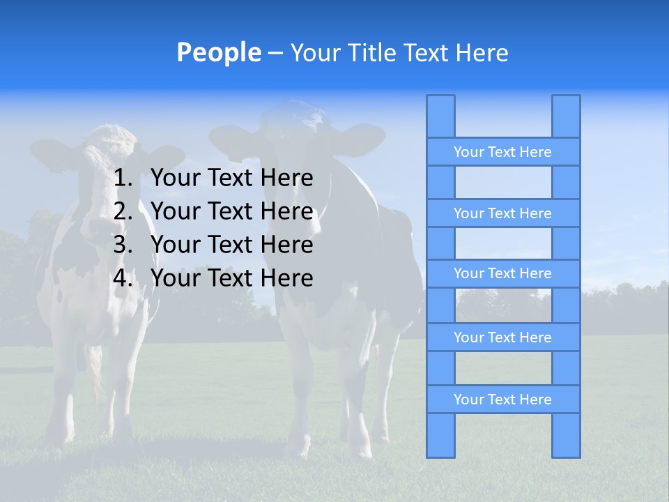 Agriculture Grazing Fresian PowerPoint Template