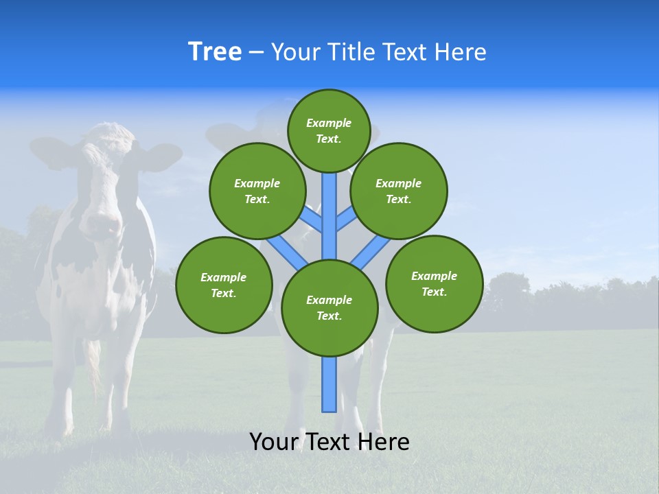 Agriculture Grazing Fresian PowerPoint Template