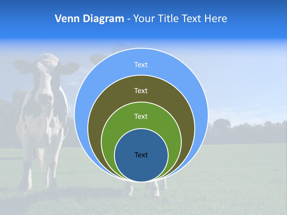 Agriculture Grazing Fresian PowerPoint Template