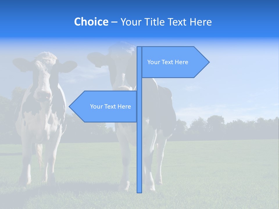 Agriculture Grazing Fresian PowerPoint Template