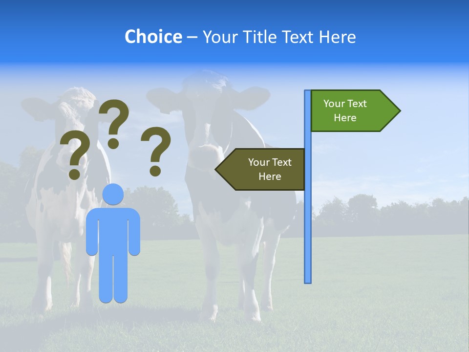 Agriculture Grazing Fresian PowerPoint Template