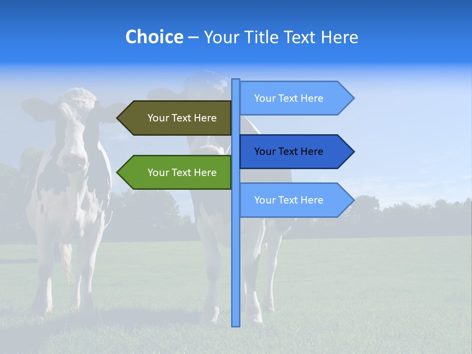 Agriculture Grazing Fresian PowerPoint Template