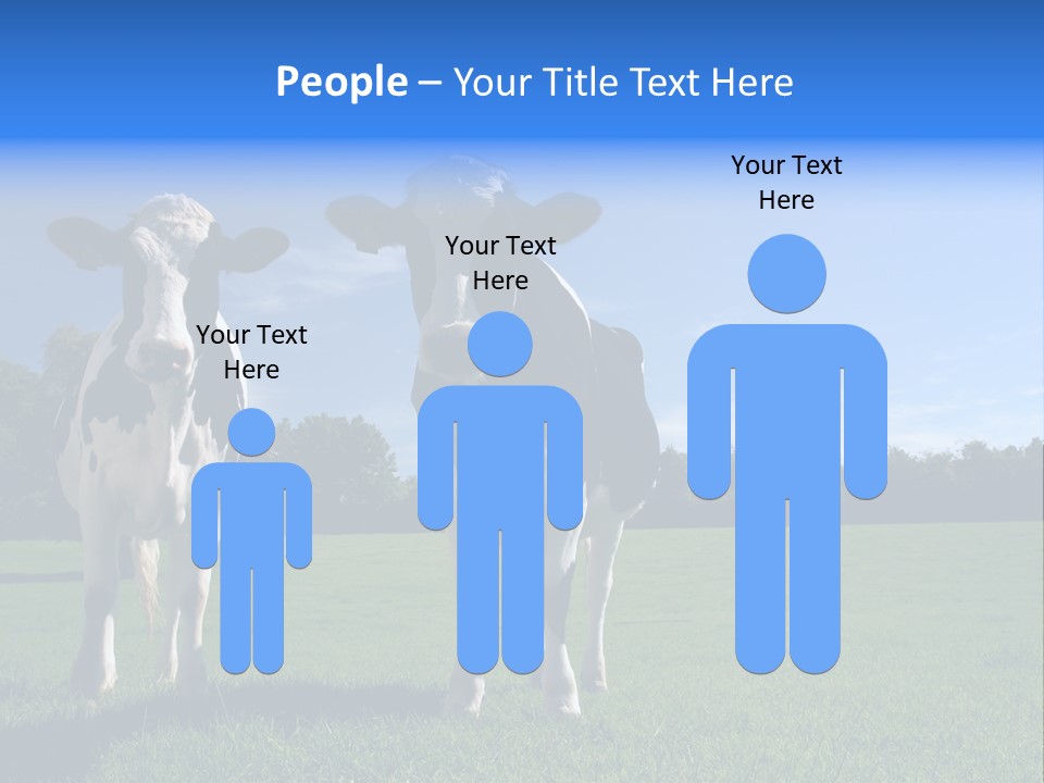 Agriculture Grazing Fresian PowerPoint Template