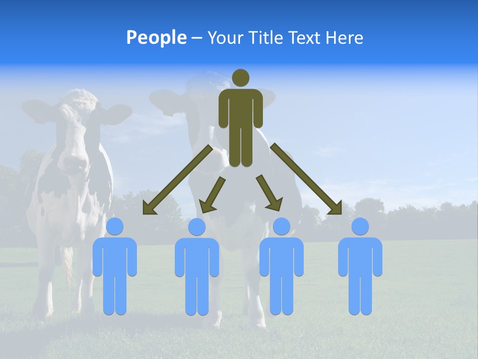 Agriculture Grazing Fresian PowerPoint Template