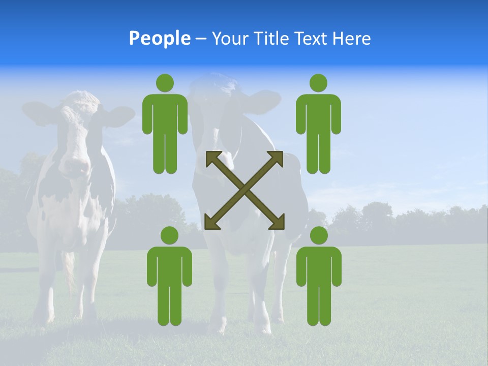 Agriculture Grazing Fresian PowerPoint Template