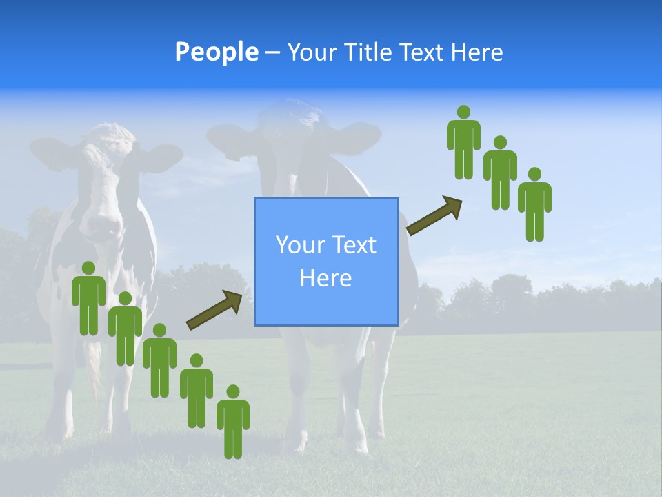 Agriculture Grazing Fresian PowerPoint Template