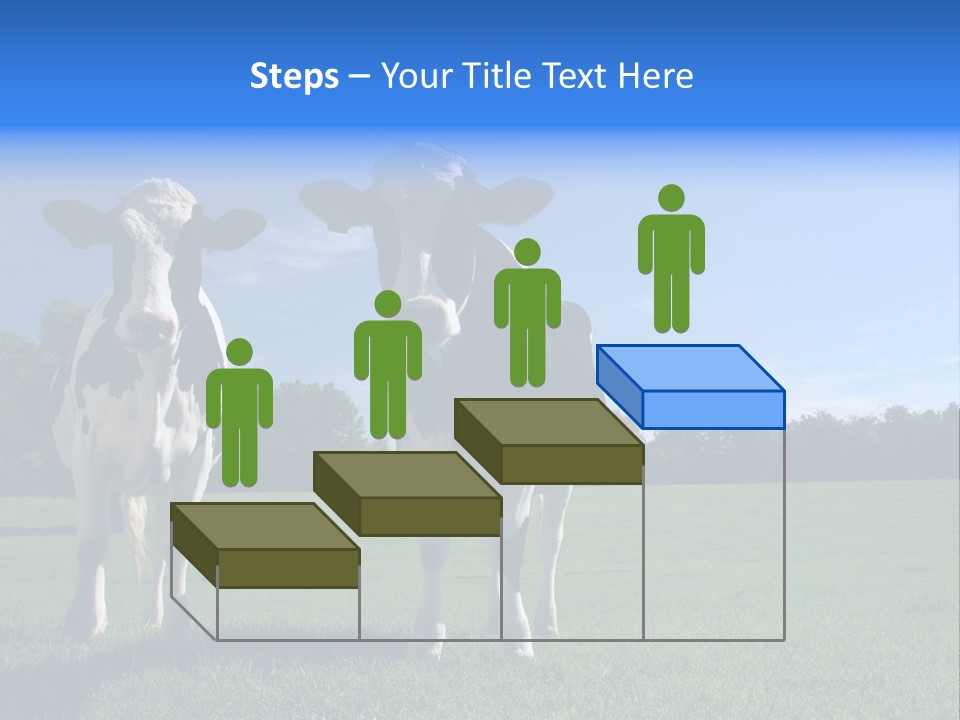 Agriculture Grazing Fresian PowerPoint Template