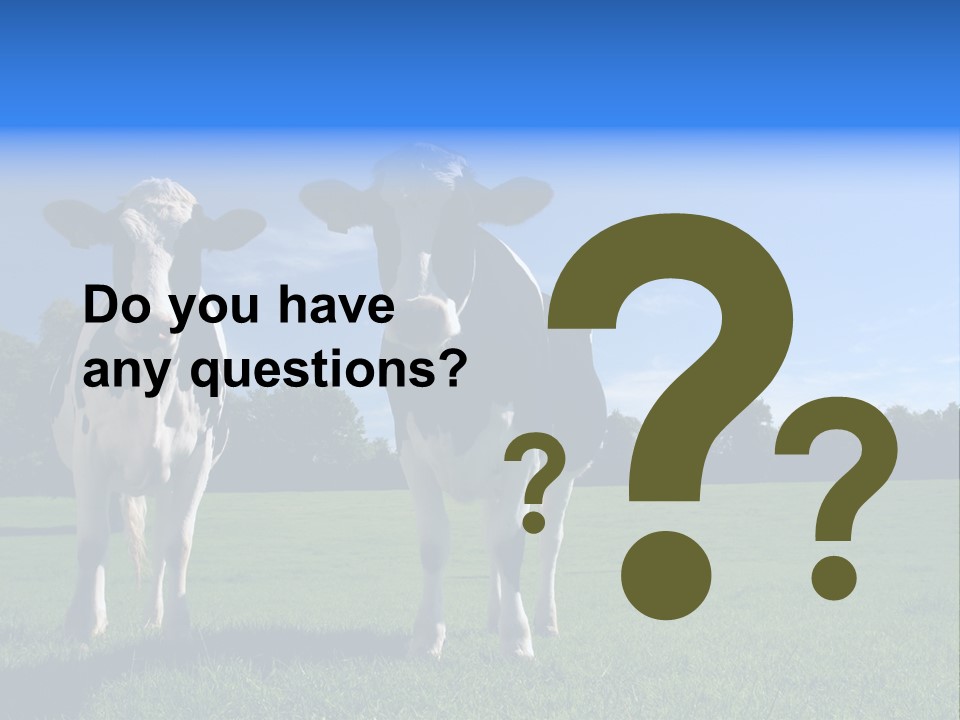 Agriculture Grazing Fresian PowerPoint Template