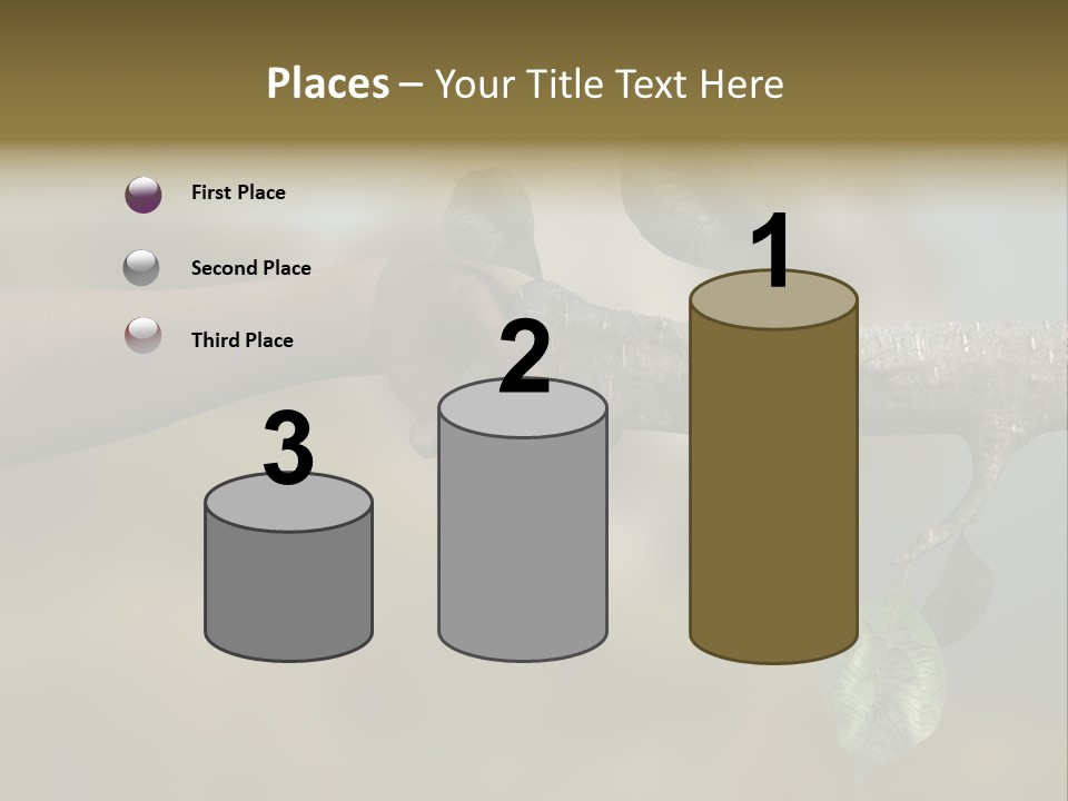 Concept Care Environmentalism PowerPoint Template