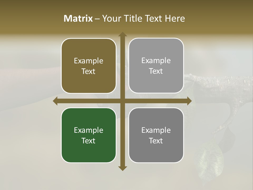 Concept Care Environmentalism PowerPoint Template