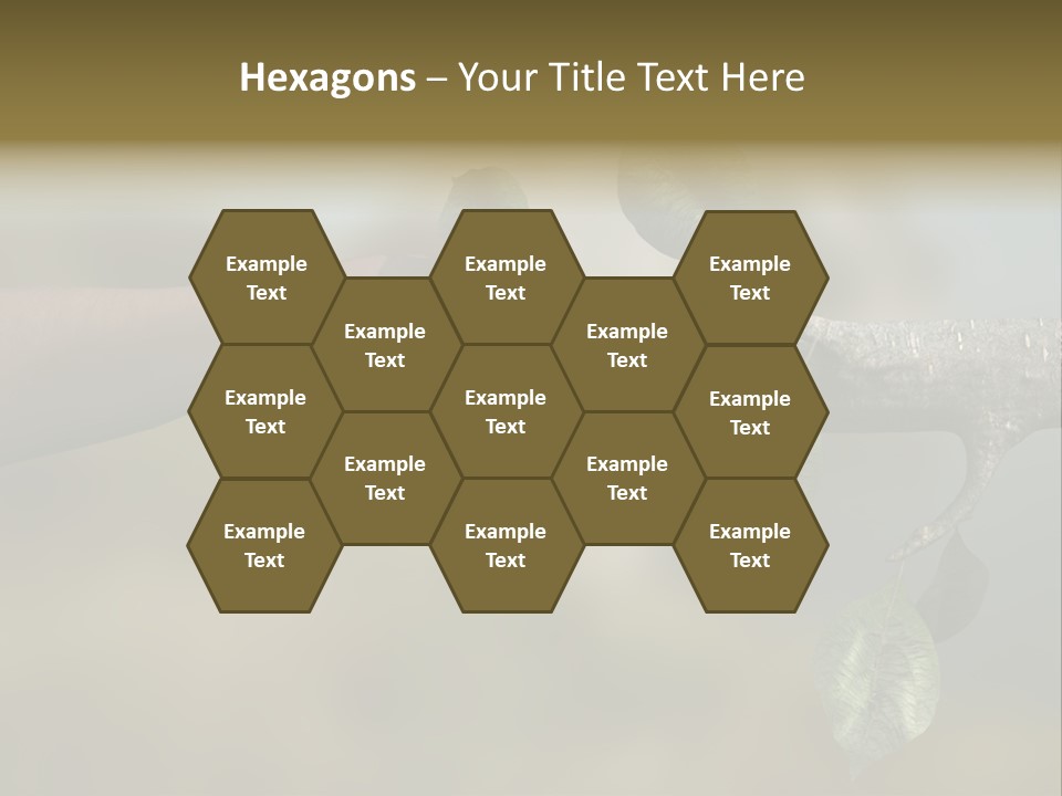 Concept Care Environmentalism PowerPoint Template