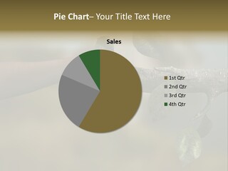 Concept Care Environmentalism PowerPoint Template