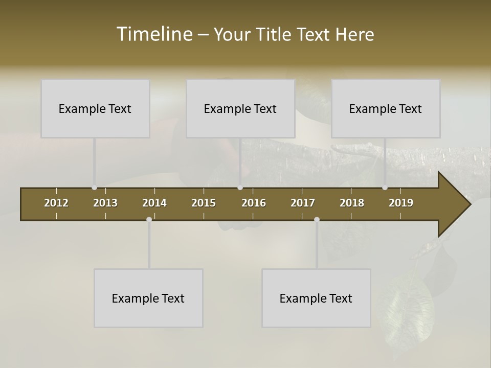 Concept Care Environmentalism PowerPoint Template