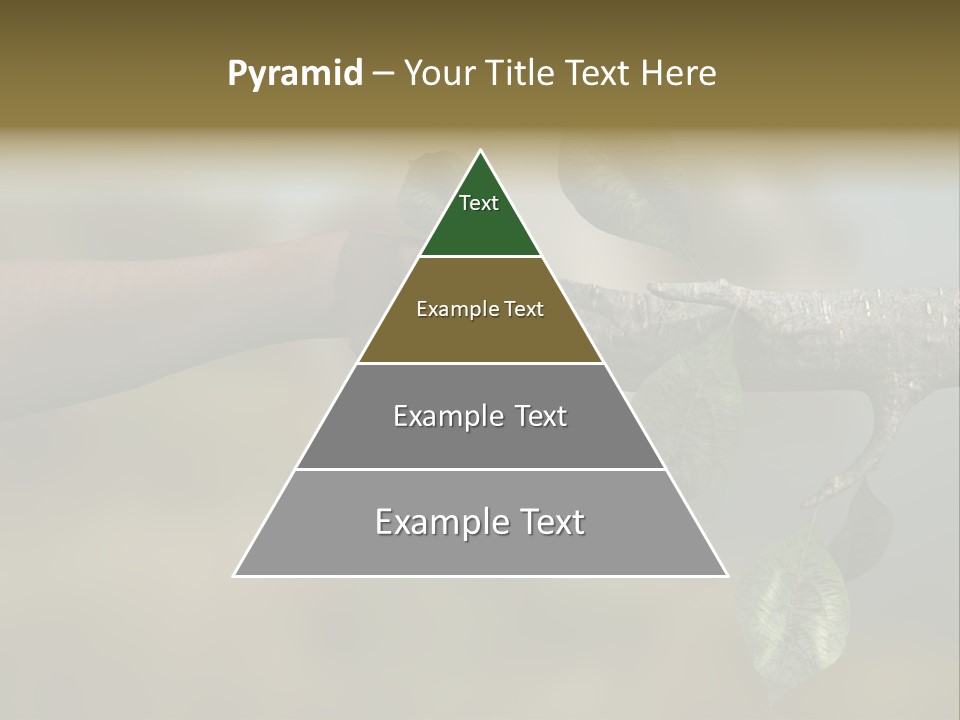 Concept Care Environmentalism PowerPoint Template