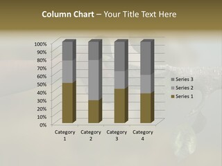 Concept Care Environmentalism PowerPoint Template