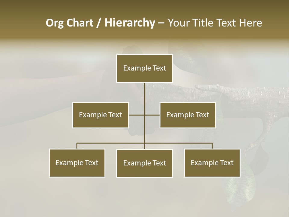 Concept Care Environmentalism PowerPoint Template
