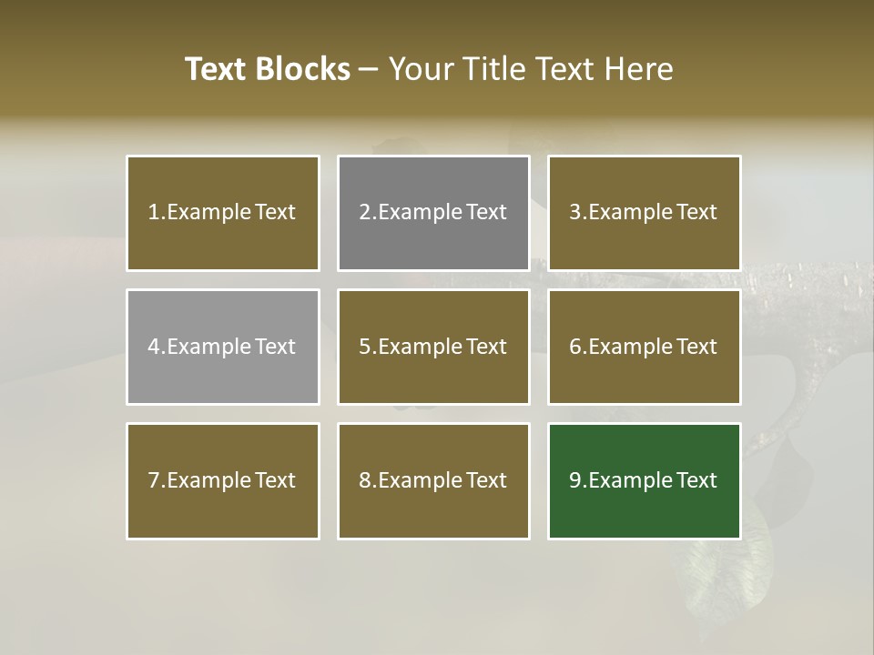 Concept Care Environmentalism PowerPoint Template