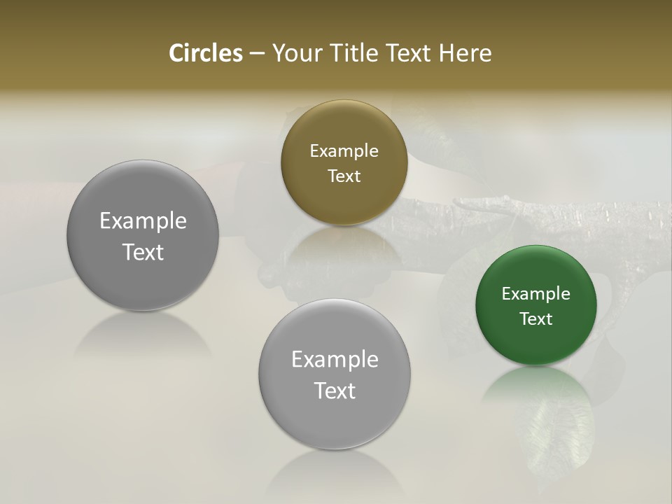 Concept Care Environmentalism PowerPoint Template