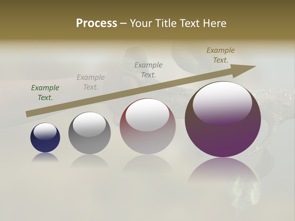 Concept Care Environmentalism PowerPoint Template