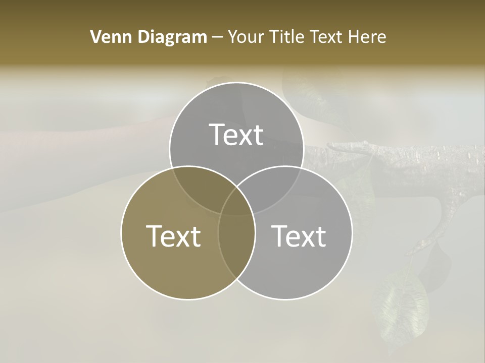 Concept Care Environmentalism PowerPoint Template