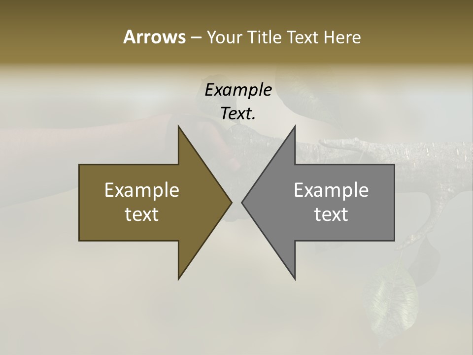 Concept Care Environmentalism PowerPoint Template