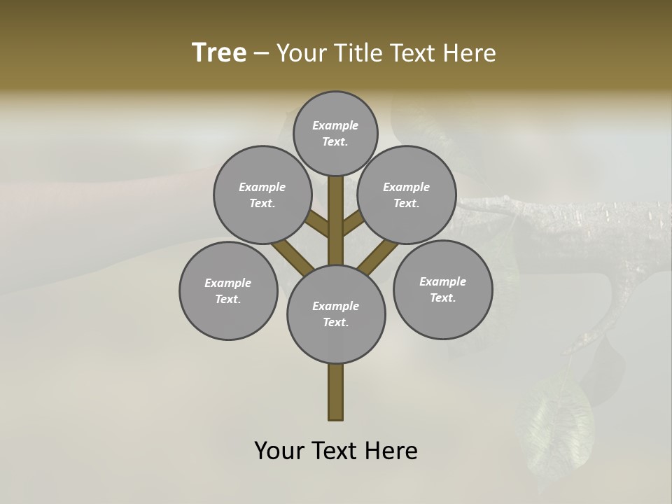 Concept Care Environmentalism PowerPoint Template