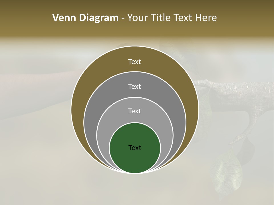 Concept Care Environmentalism PowerPoint Template