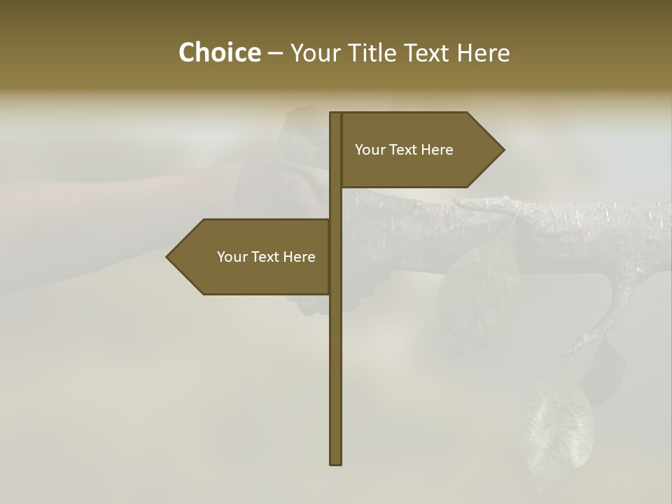 Concept Care Environmentalism PowerPoint Template