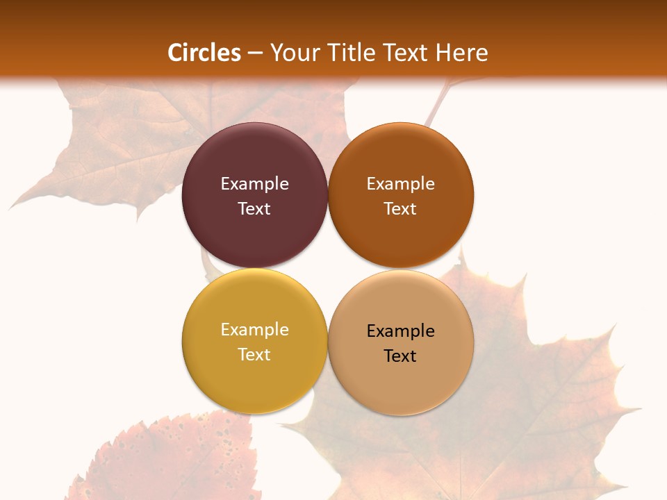 Communication Per On Di Cu Ion PowerPoint Template