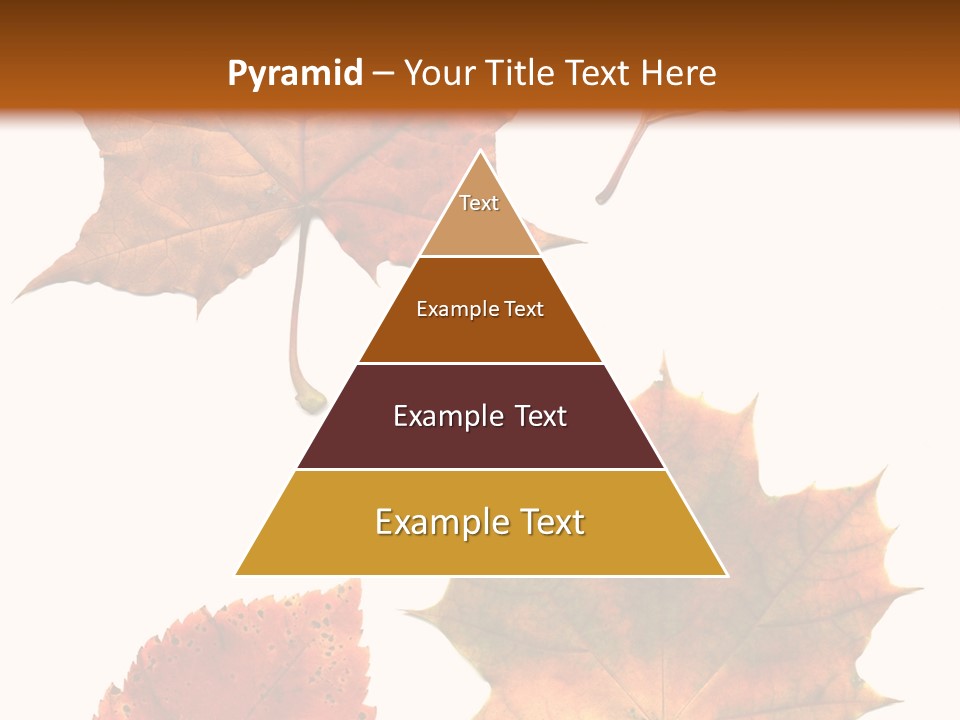 Communication Per On Di Cu Ion PowerPoint Template