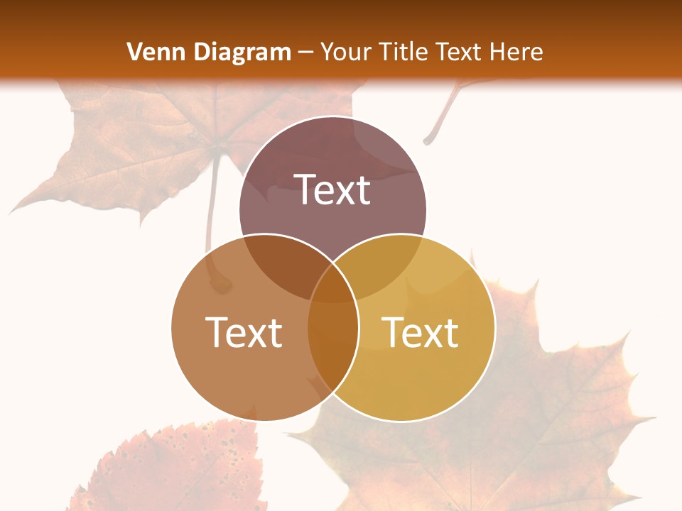 Communication Per On Di Cu Ion PowerPoint Template