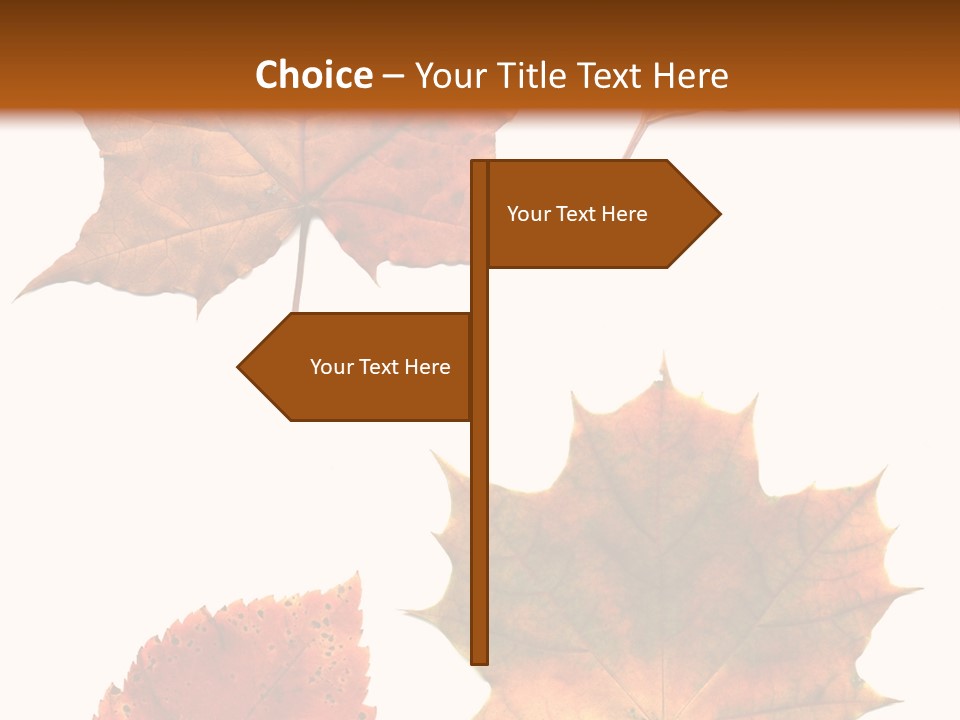 Communication Per On Di Cu Ion PowerPoint Template