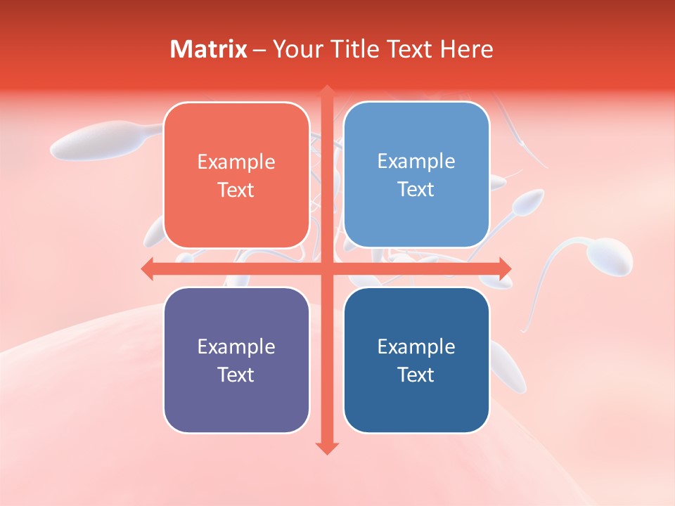 Fertilization Reproduction Study PowerPoint Template