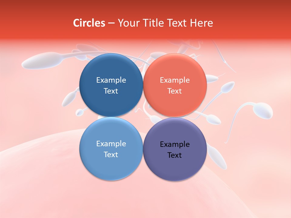 Fertilization Reproduction Study PowerPoint Template