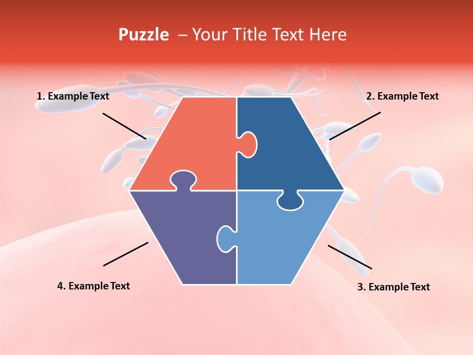 Fertilization Reproduction Study PowerPoint Template