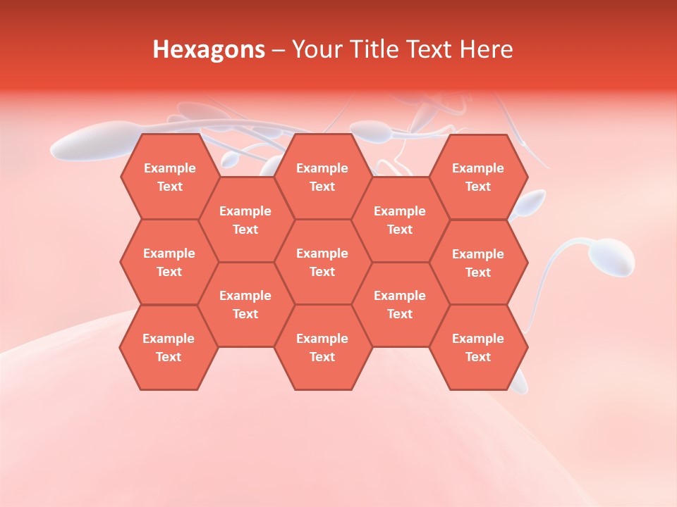 Fertilization Reproduction Study PowerPoint Template
