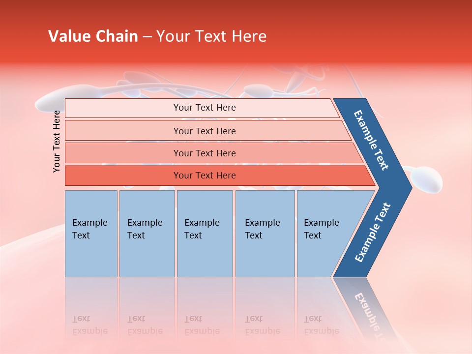 Fertilization Reproduction Study PowerPoint Template