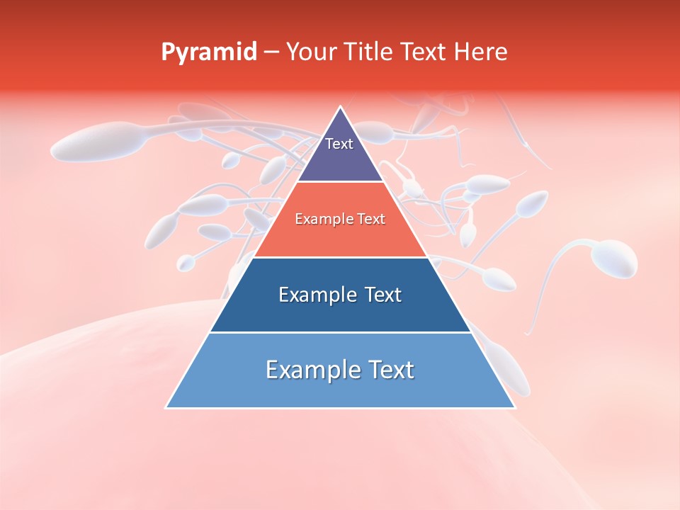 Fertilization Reproduction Study PowerPoint Template