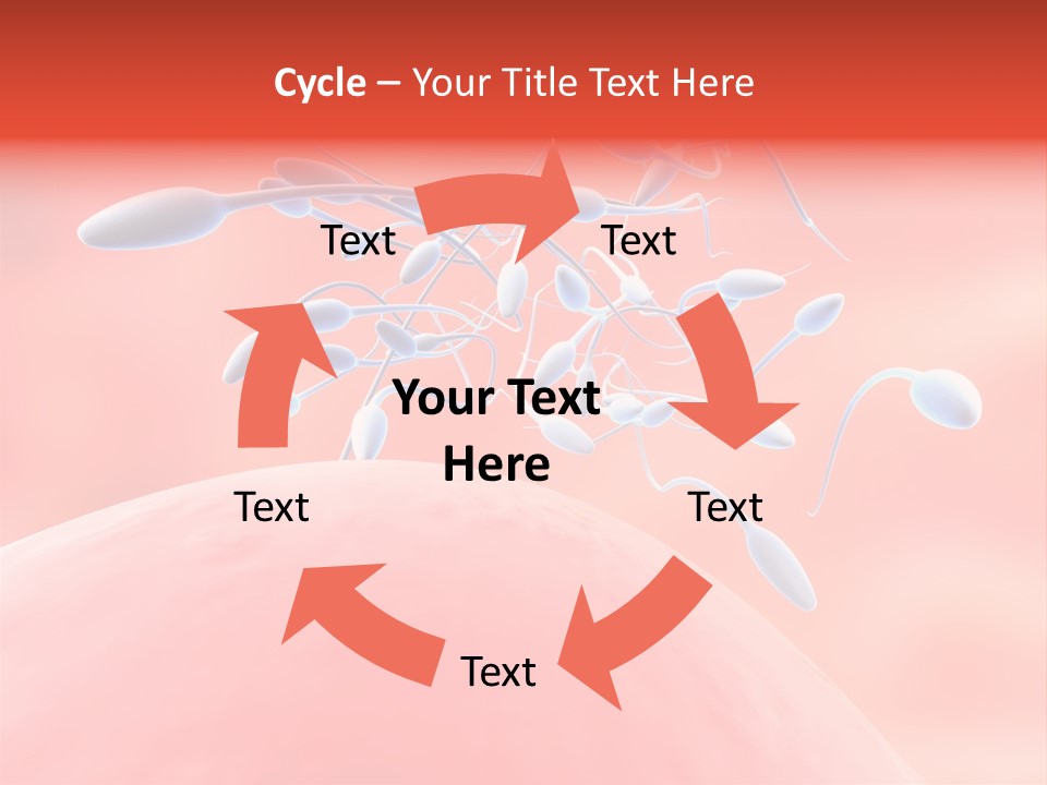 Fertilization Reproduction Study PowerPoint Template
